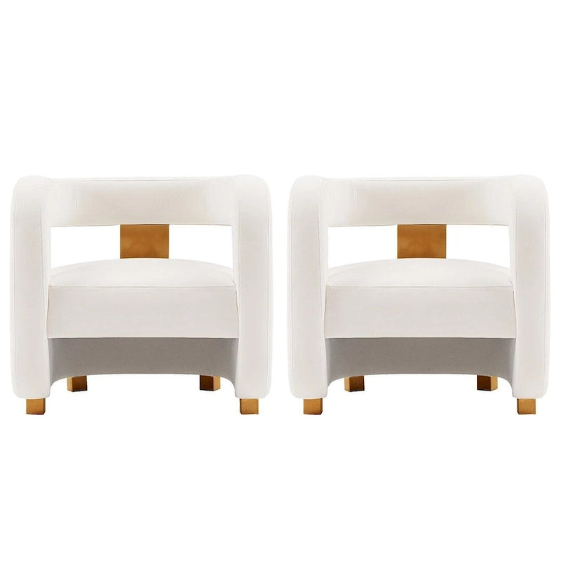 Modern Velvet Accent Chair Set of 2 with Gold Metal Legs