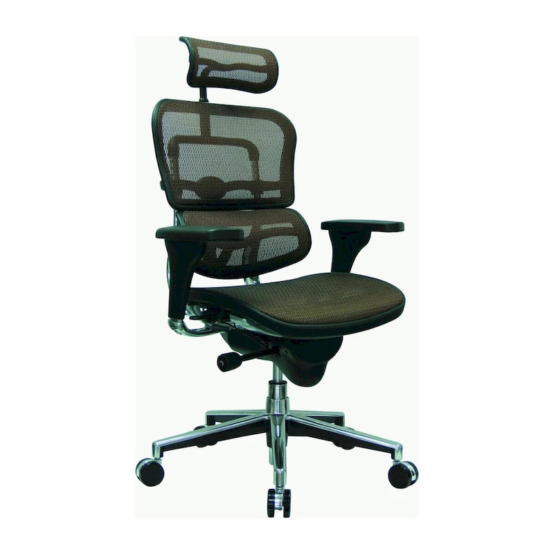 Ergonomic Mesh High-Back Managers Chair