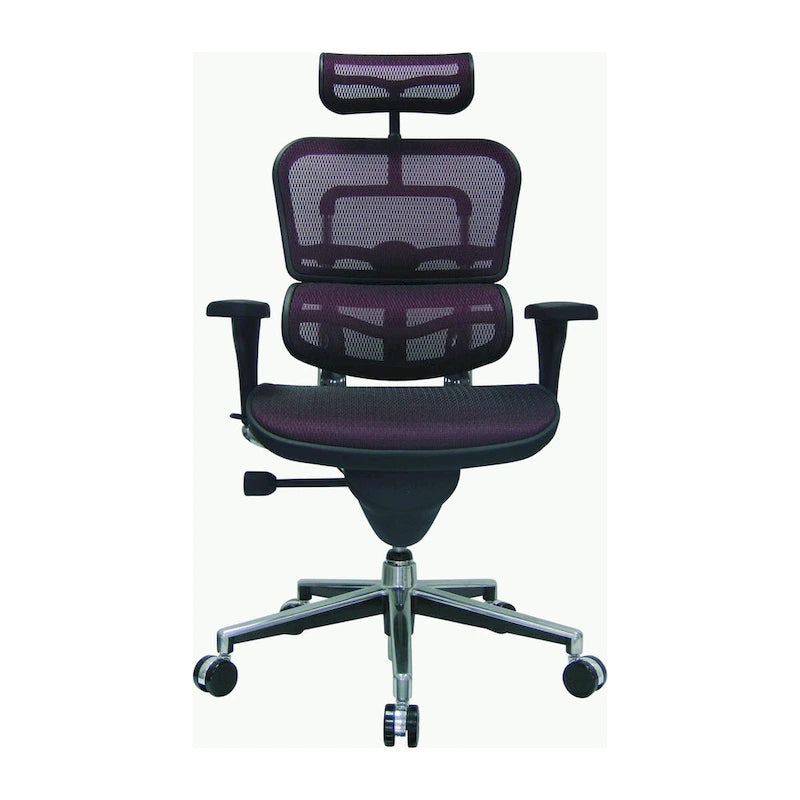Ergonomic Mesh High-Back Managers Chair