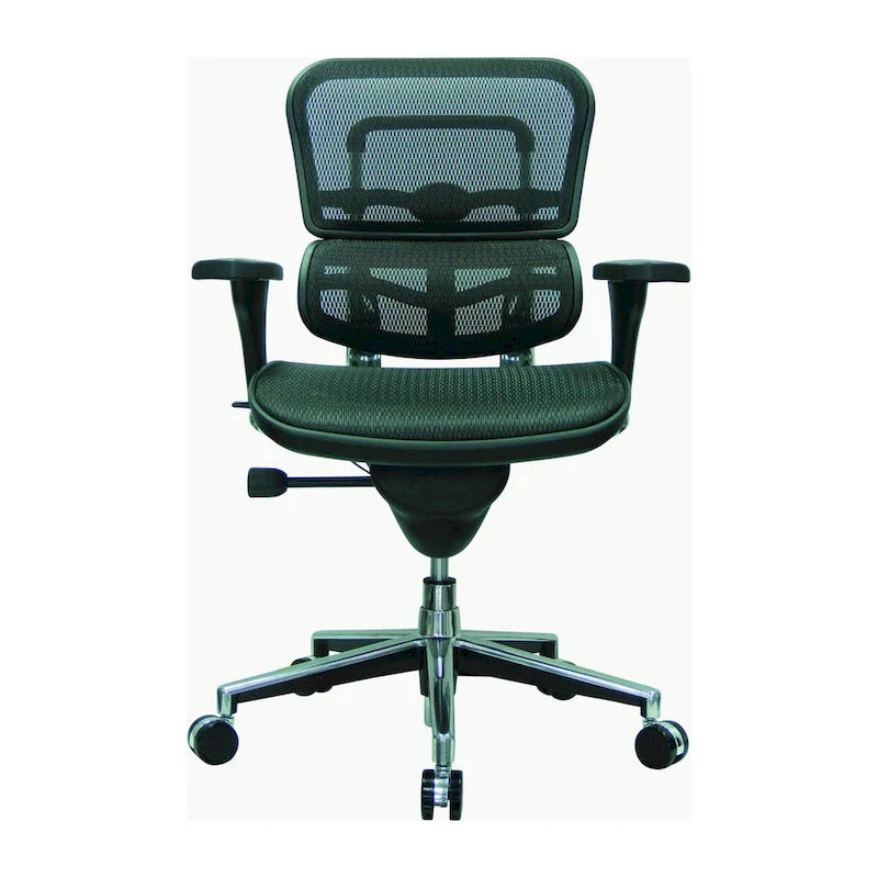 Ergonomic Mesh High-Back Managers Chair