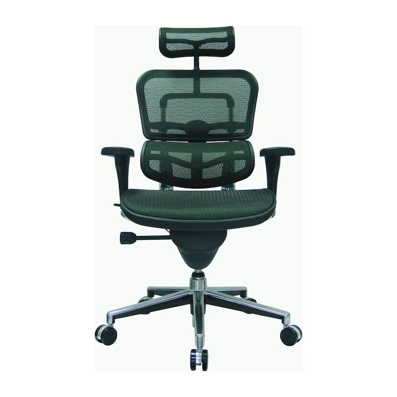 Ergonomic Mesh High-Back Managers Chair