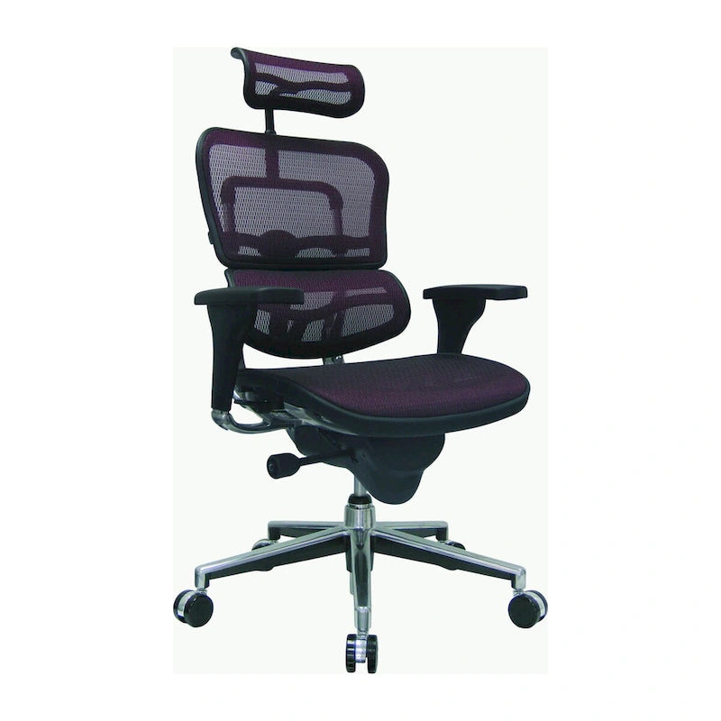Ergonomic Mesh High-Back Managers Chair