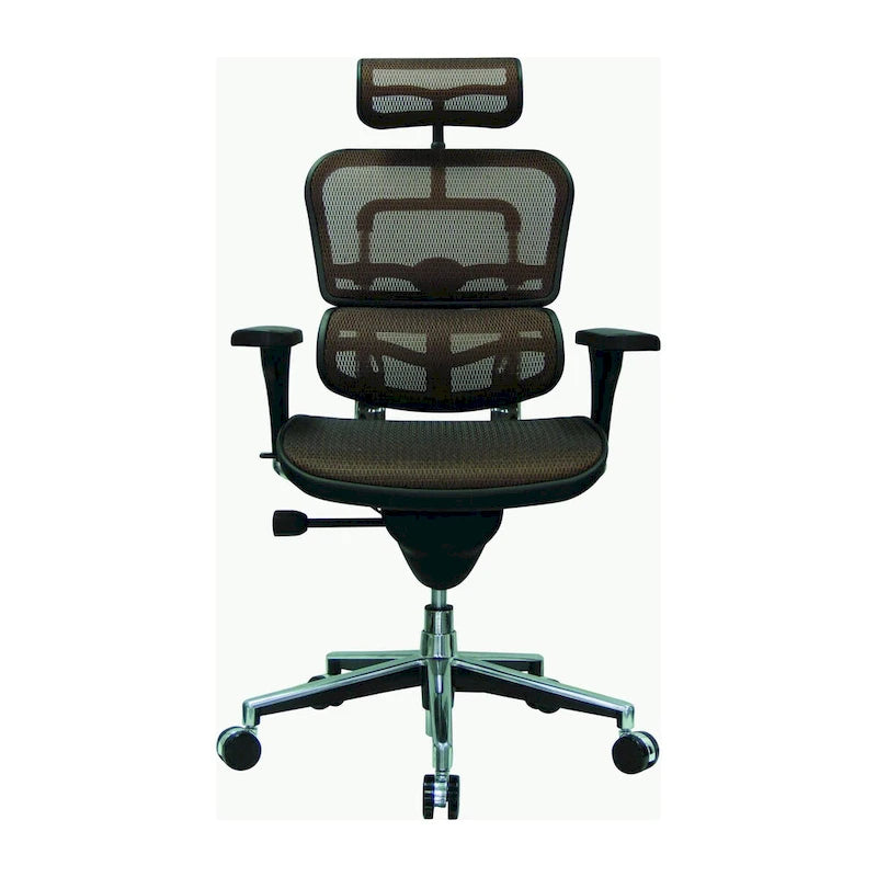 Ergonomic Mesh High-Back Managers Chair