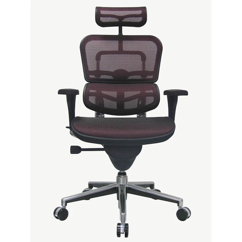 Ergonomic Mesh High-Back Managers Chair